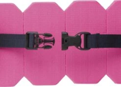 Beco Sealife Zwemgordel Voor Kinderen – Roze -Pool Technik Winkel 1200x863